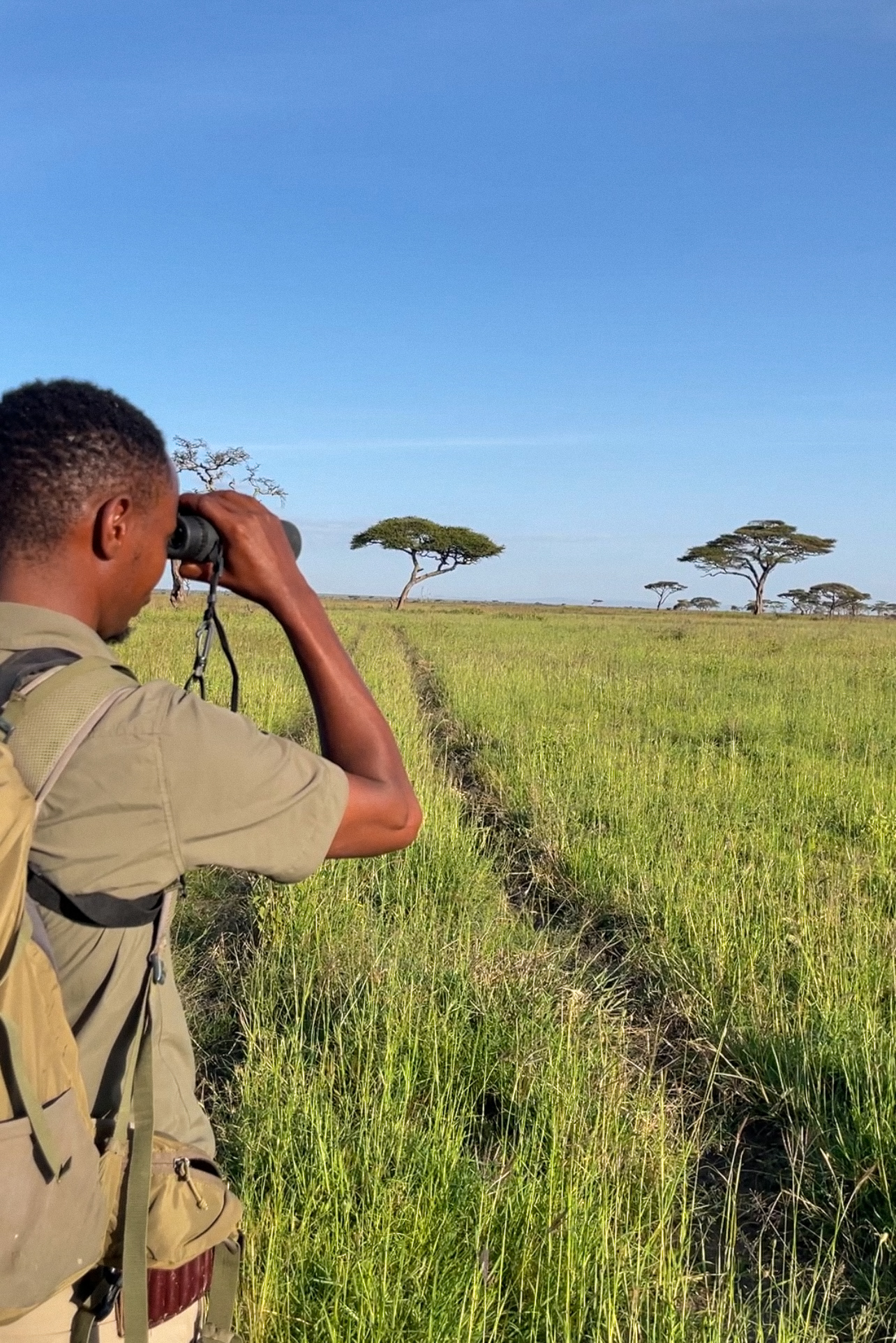 Walking Safari