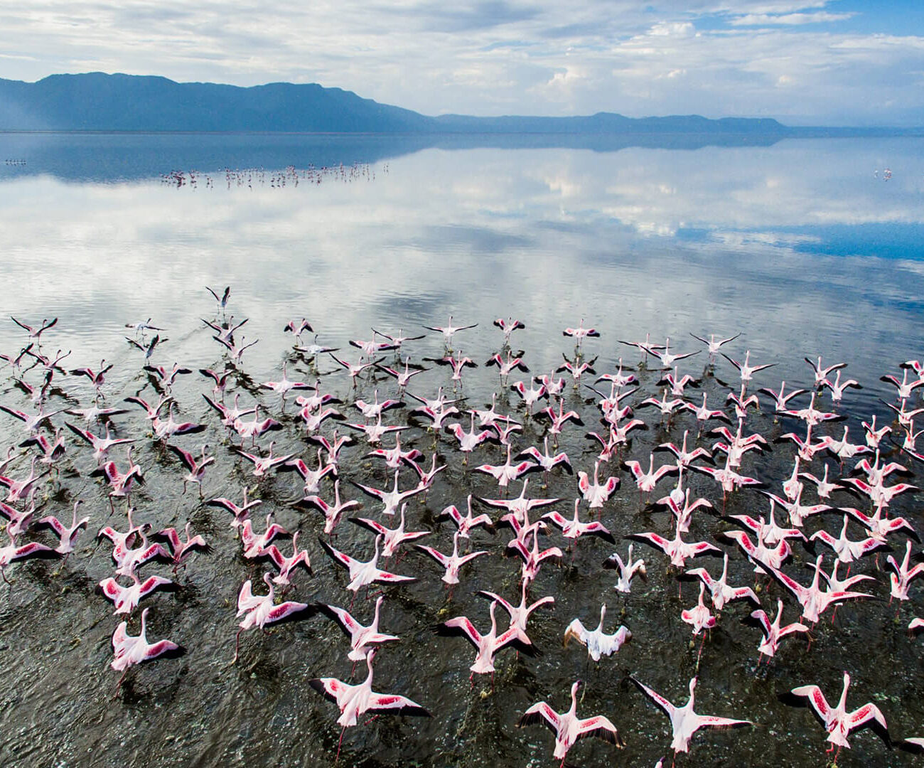 Lake Manyara