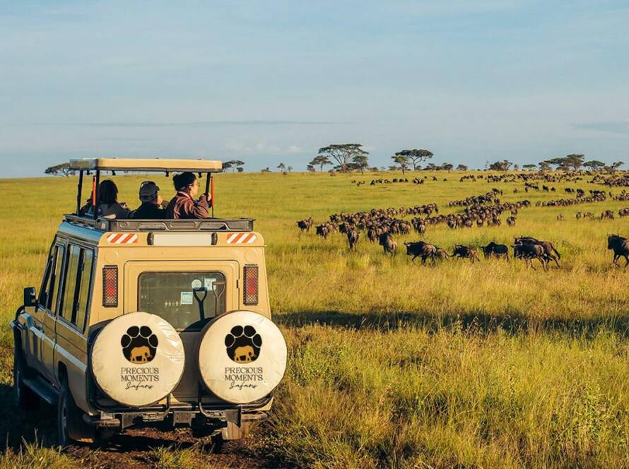 Game Drives